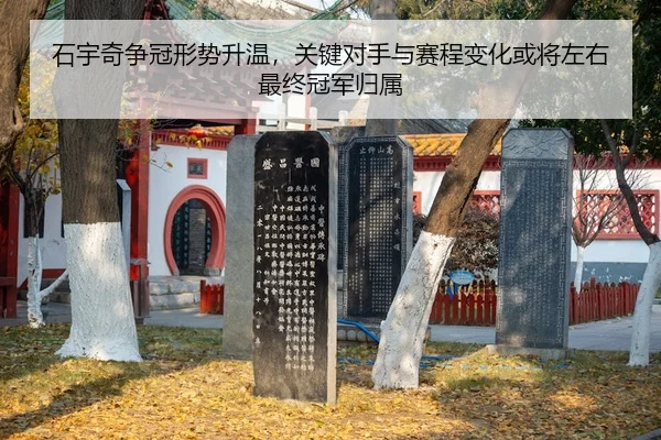 shi-yu-qi-zheng-guan-xing-shi-sheng-wen-guan-jian-dui-shou-yu-sai-cheng-bian-hua-huo-jiang-zuo-you-zui-zhong-guan-jun-3-297.jpg